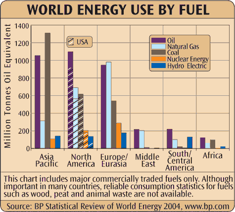 World Energy Use by Fuel