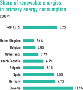 Renewable Energies in Primary Energy Consumption