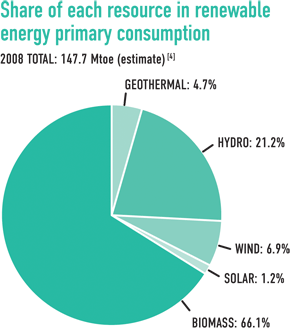 Renewable Energy Primary Consumption