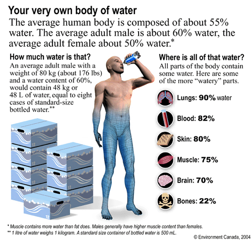 Your Very Own Body of Water