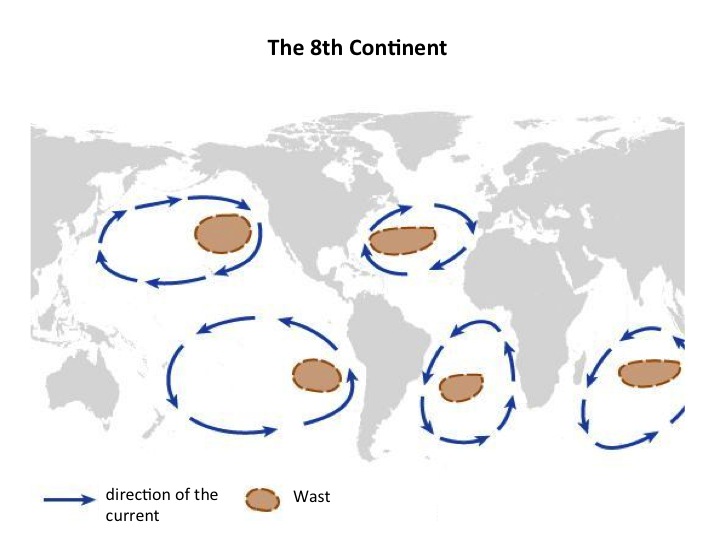 The 8 th continent