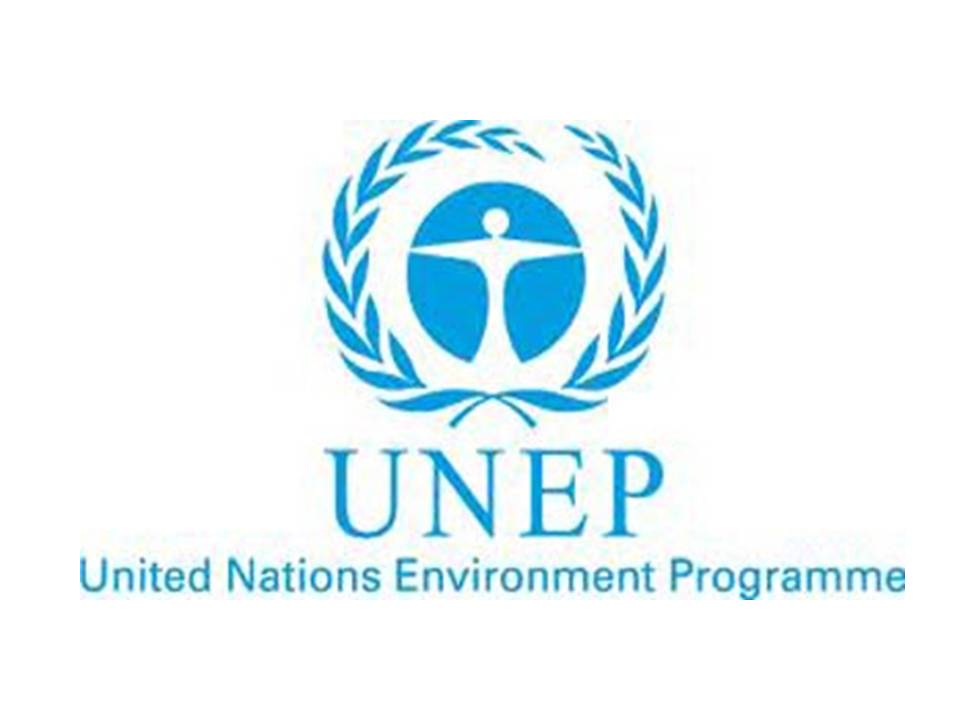 UN Environment Programme 