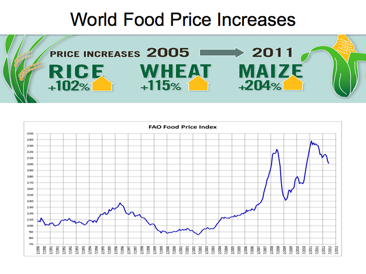 World Food Price Increases Over Time
