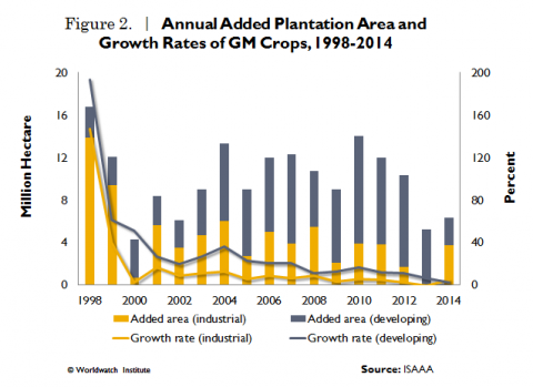 gm crops