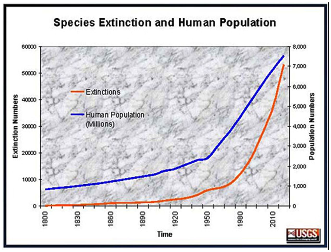 Species Extinction And Human Population Simcenter