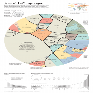 Languages infographics